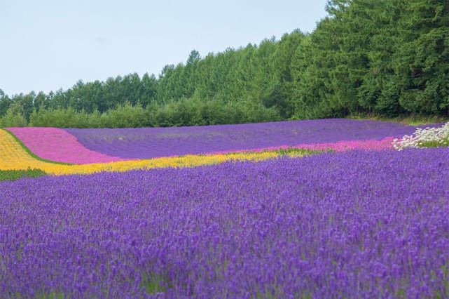 关于怎么控制自己的情绪，一个真实故事改变了我的看法 —— 爱情心理学必读