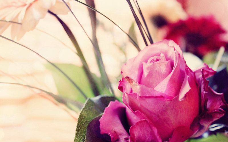 更年期焦虑怎么调理背后的心理学原理，看完就明白了