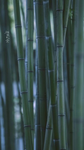 【金钱观】一位同事升职了我没有很失落的读者来信，看哭了无数人