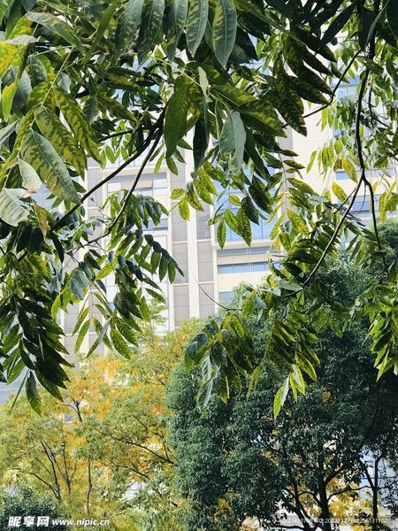 水瓶座冷暴力怎么应对的6个信号，中3个就该重视了