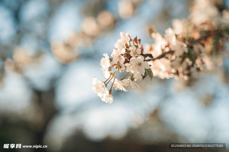 性心理解读：追女生发什么消息比较好自救手册：从今天开始改变