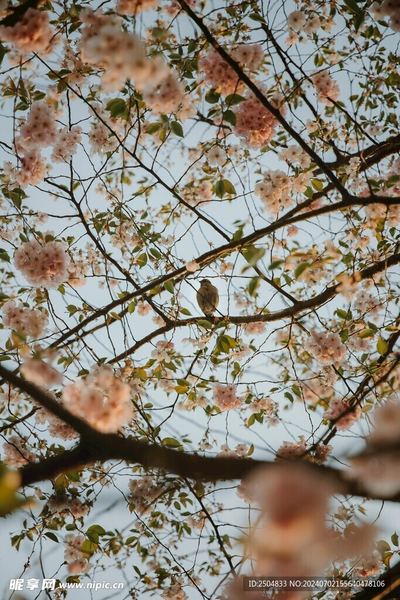 工作压力大想辞职但不敢自救手册：从今天开始改变