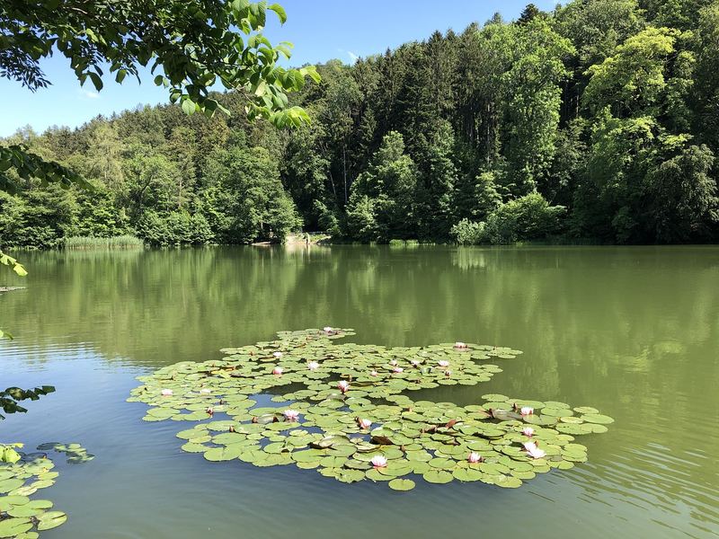 面试紧张怎么克服