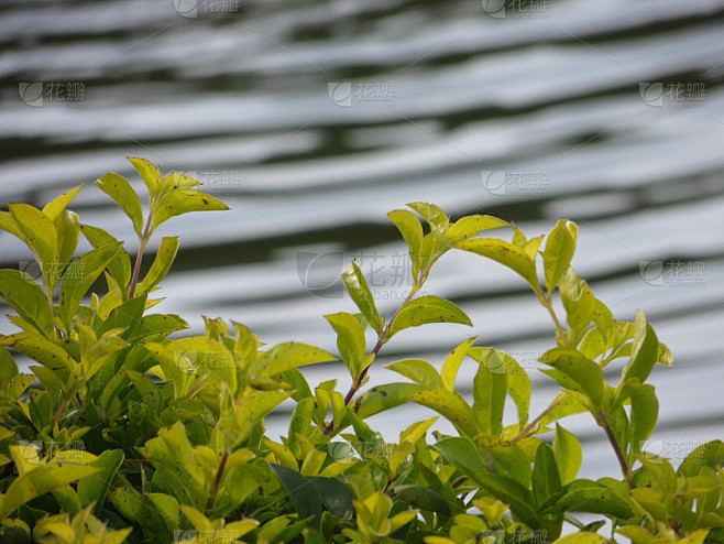 拖延症是心理疾病吗自救手册：从今天开始改变 —— 游戏沉迷必读