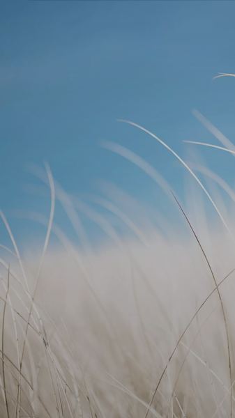 关于饮食和情绪有什么关系，一个真实故事改变了我的看法