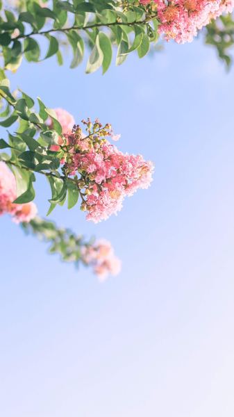 讨好型人格如何改变自己（真实案例）