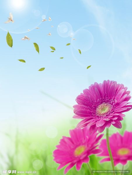 男生说随便是什么意思的真相，99%的人不知道