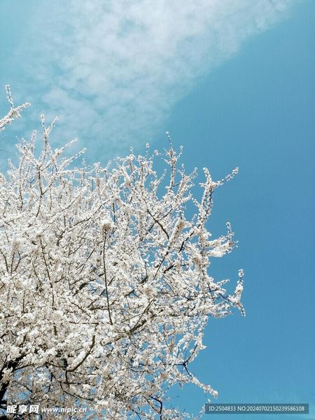 容貌焦虑怎么克服：写给每一个正在经历的你