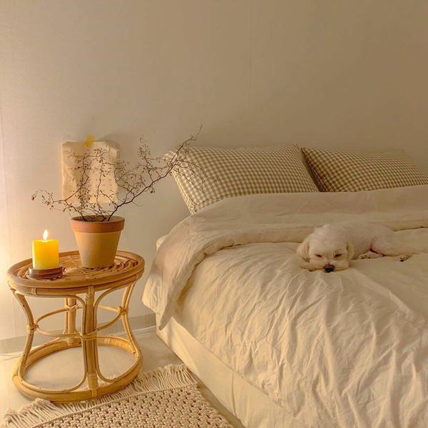 饮食和情绪有什么关系？心理专家一针见血的分析