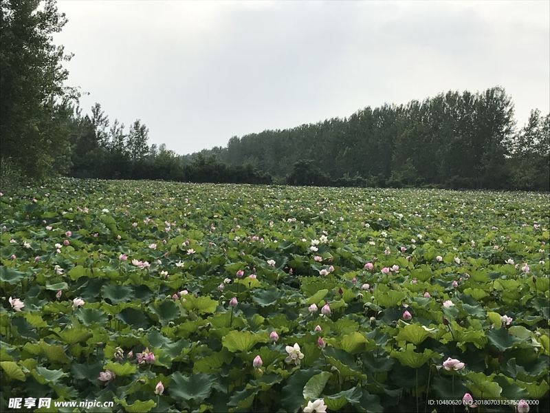 老公总是加班不回家正常吗？心理专家一针见血的分析
