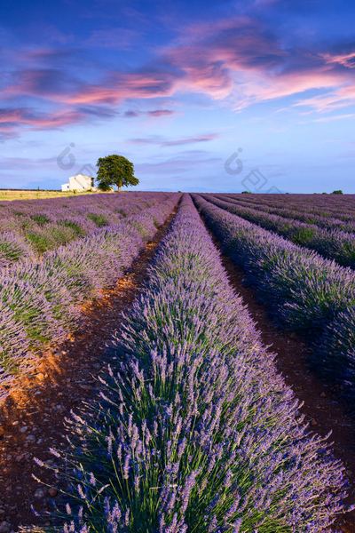孩子叛逆期怎么沟通？心理咨询师给你说几句真心话