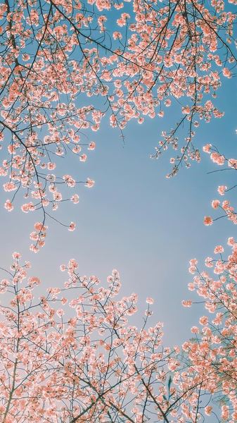 讨好型人格怎么改变？别慌，看完这篇你就有方向了