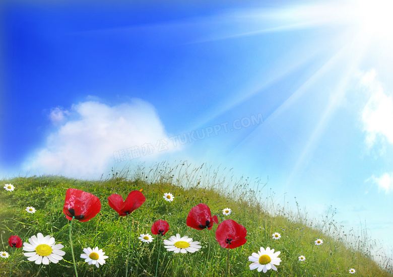 夫妻感情变淡了怎么办？心理咨询师建议你这样做