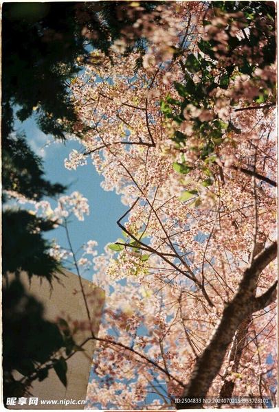 没有背景的普通人怎么逆袭？认清这几点，你就不纠结了