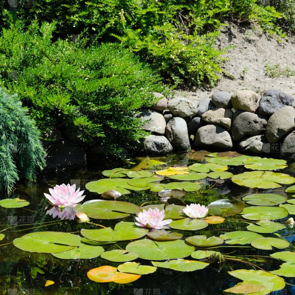 告别拖延 | 怎么拒绝同事不合理的请求？心理专家一针见血的分析