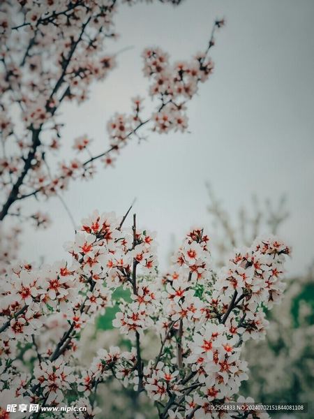 失眠自救 | 选择困难症怎么办？别急着下结论，先看完这篇