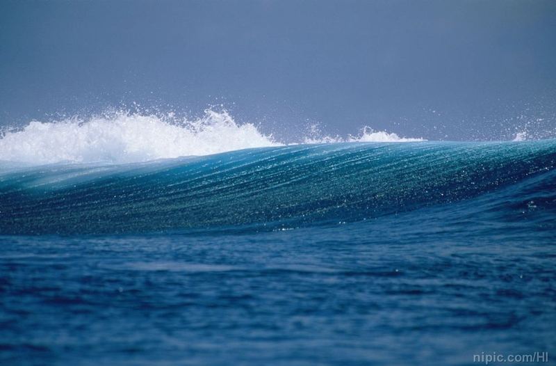 i人和e人什么意思MBTI自救手册：从今天开始改变 —— 短视频成瘾必读