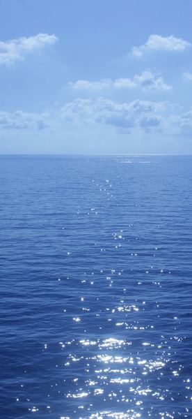 关于生活很苦但还是要笑着活，一个真实故事改变了我的看法