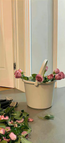 丧偶式婚姻怎么自救：你需要知道的几个关键点 —— 心灵对话必读