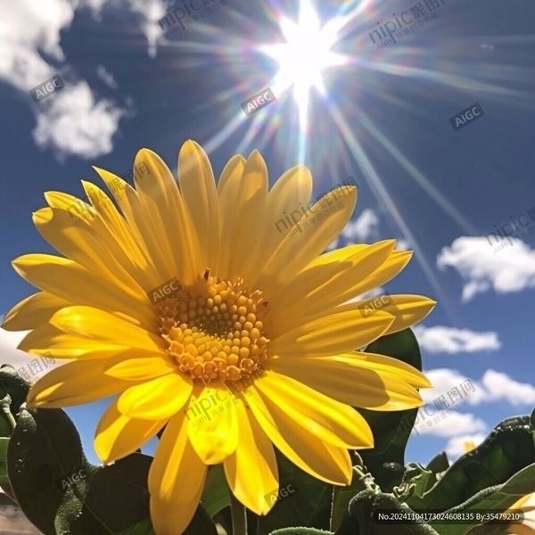 嫁错人了怎么办？看完这篇你会豁然开朗