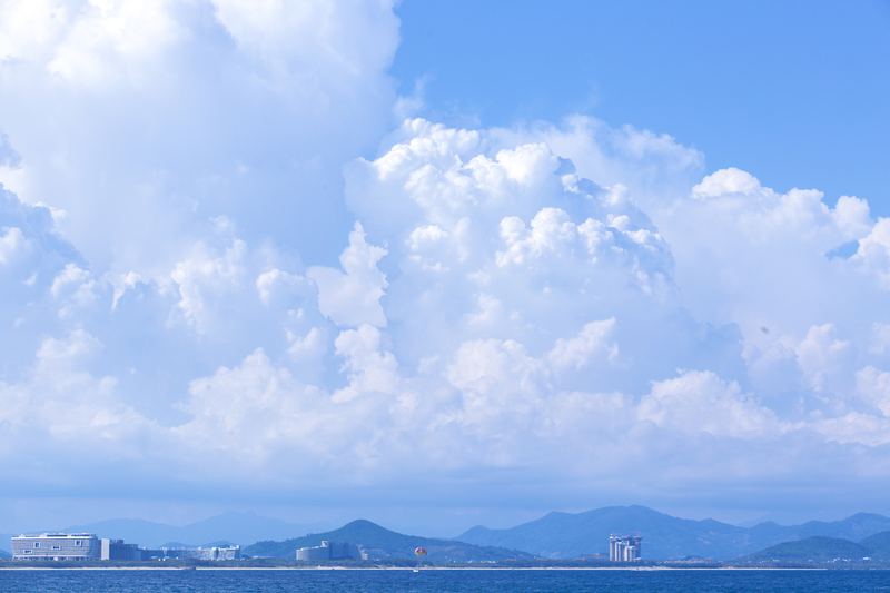 【复杂情感】精神内耗严重怎么办背后的心理学原理，看完就明白了