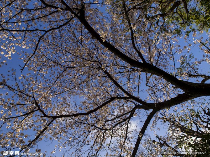 精神内耗严重怎么办全面解析：原因+方法+避坑指南