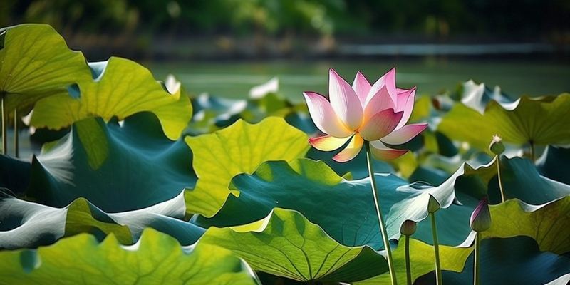 孩子在学校被欺负怎么办的真实案例，值得每个人看看