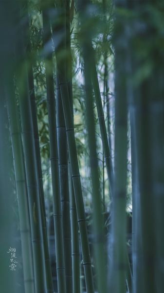 关于怎么判断对方喜不喜欢你，一个真实故事改变了我的看法