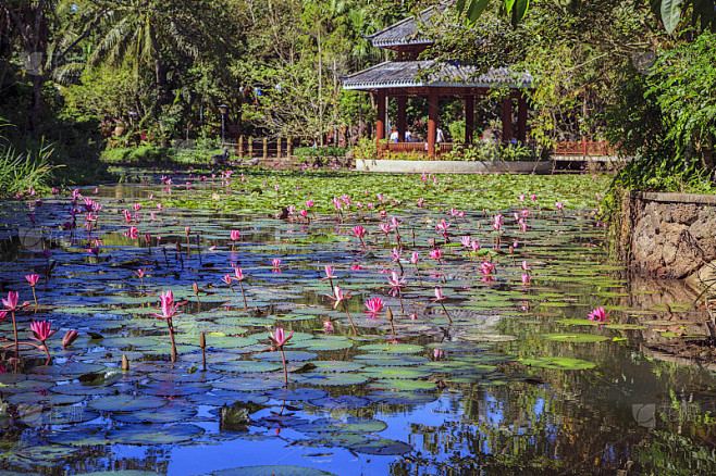 追女生发什么消息比较好？过来人告诉你真正有用的方法 —— 独处修行必读