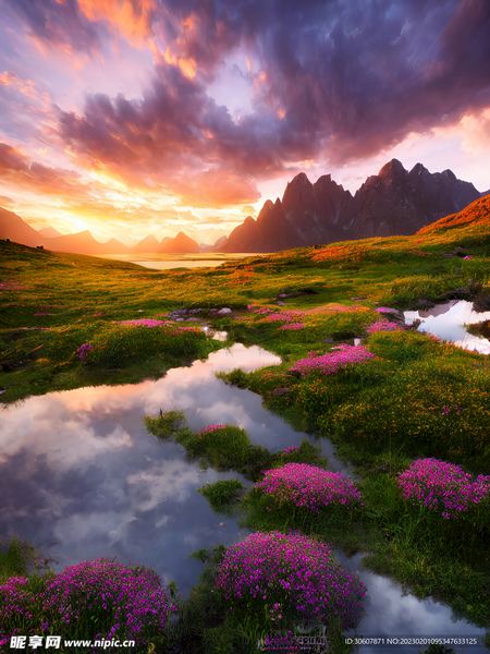 水瓶座冷暴力怎么应对？心理学家推荐的4步自救指南