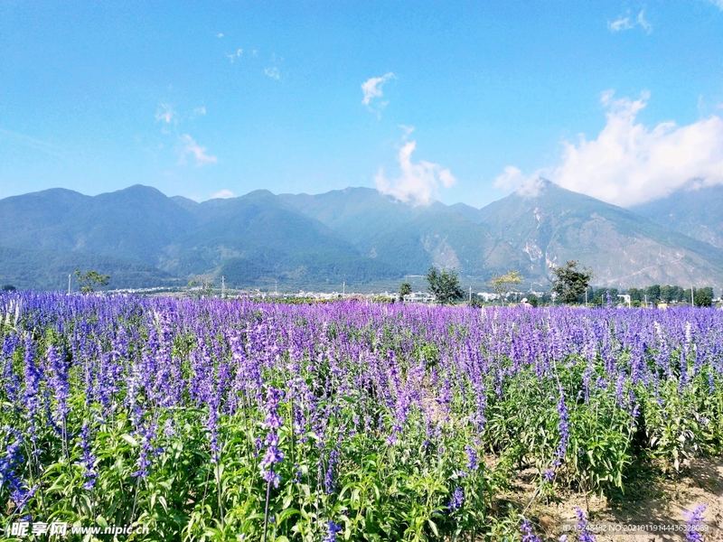 如何培养强大的内心