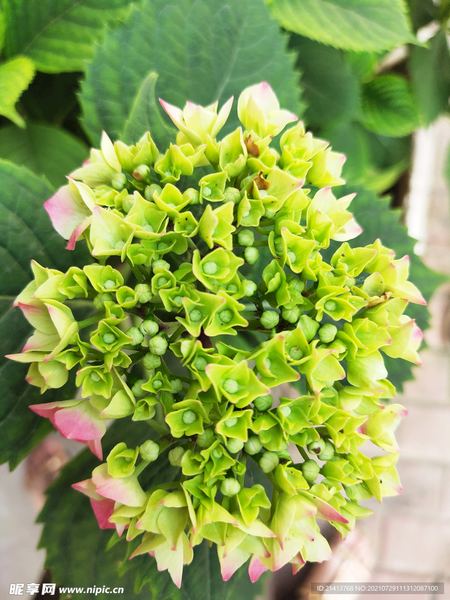 老公不回家怎么处理？学会这招，心态稳了很多