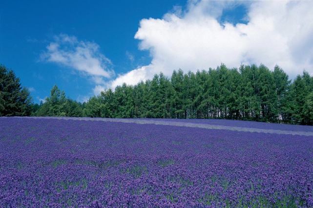 讨好型人格的表现有哪些？换个角度想，问题就解决了一半