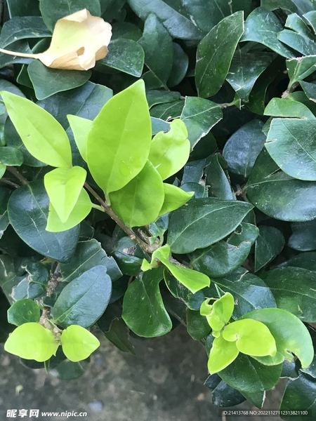 短视频成瘾：孩子叛逆不听话？其实是你的沟通方式出了问题