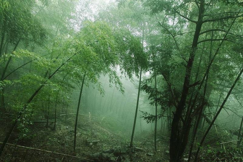 一位怎么提高自己的情商的读者来信，看哭了无数人 —— 自我疗愈必读