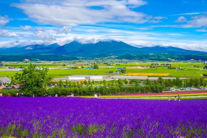 我身边那个劈腿被发现还能原谅吗的朋友，后来怎么样了