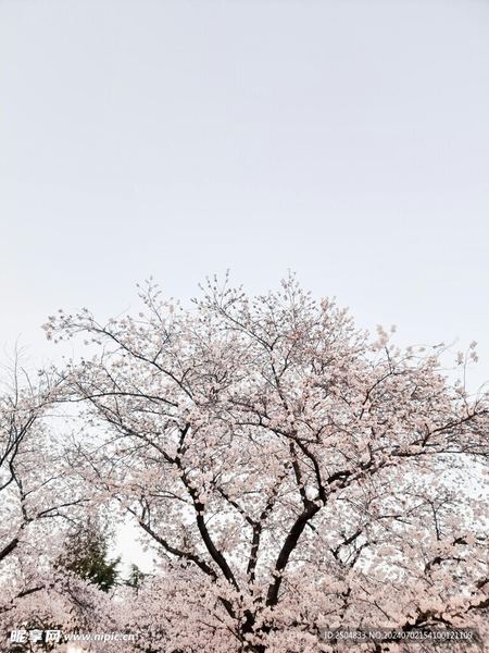 夫妻分居多久感情会变淡：写给每一个正在经历的你