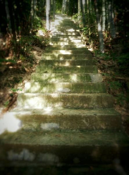 孤独疗愈：男生追女生最有效的方法？很多人都忽略了这一点