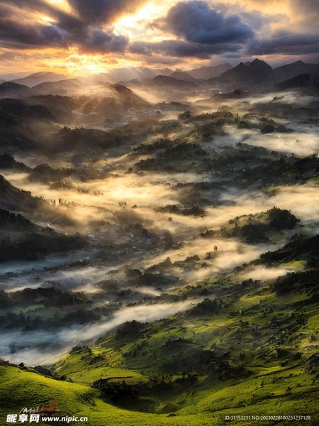 选择困难症怎么办自救手册：从今天开始改变