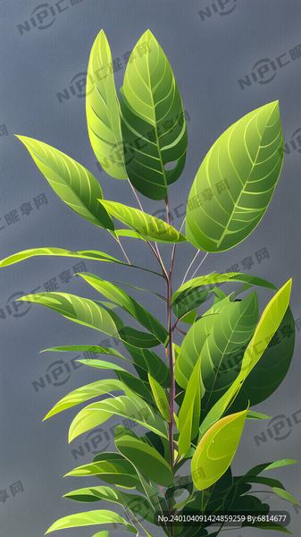 嫁错人了怎么办？换个角度想，问题就解决了一半