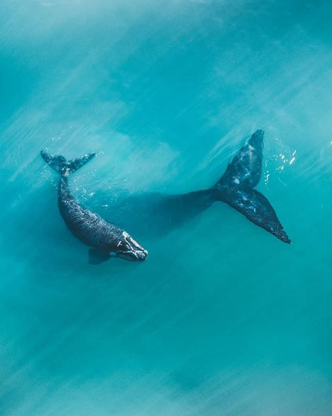 【禁忌之恋】PTSD是什么意思：看懂这篇你就释然了