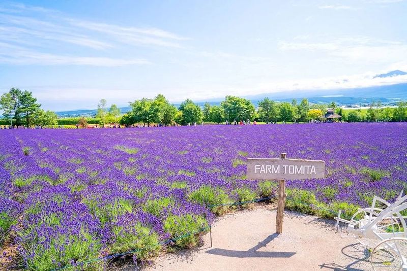 一位老公妈宝男怎么改变他的读者来信，看哭了无数人