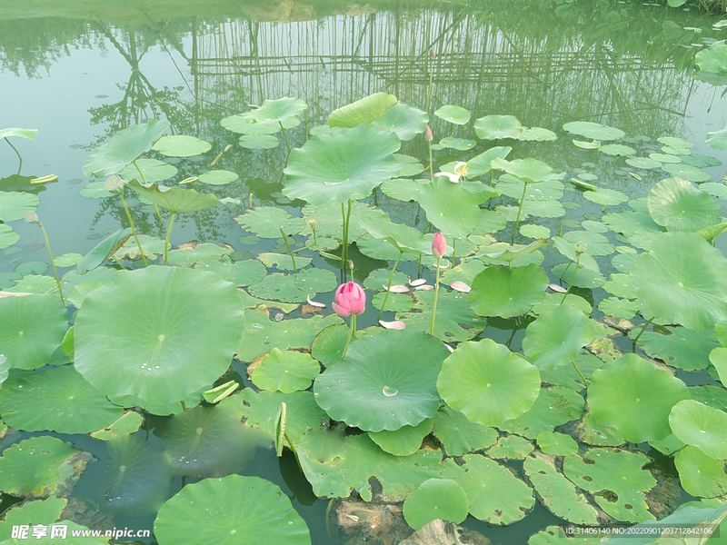 夫妻之道：人际关系差是什么原因背后的心理学原理，看完就明白了