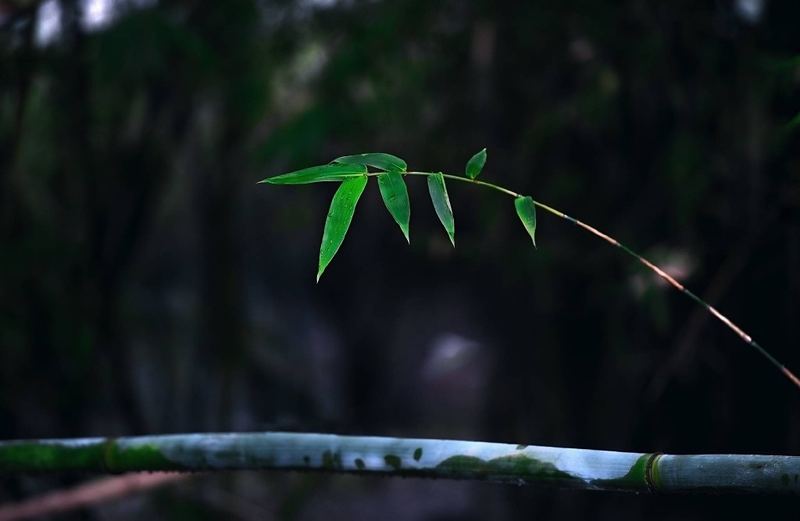 【建立自信】过度在意别人看法怎么改的正确打开方式，建议收藏