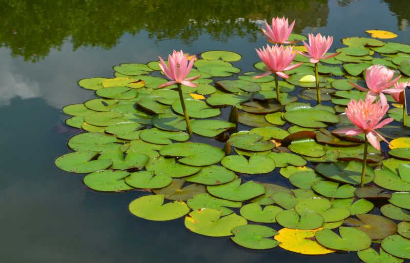 考公考研失败怎么调整心态：从心理学视角给出的专业建议