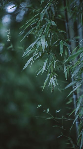 一位初恋分手还能复合吗的读者来信，看哭了无数人