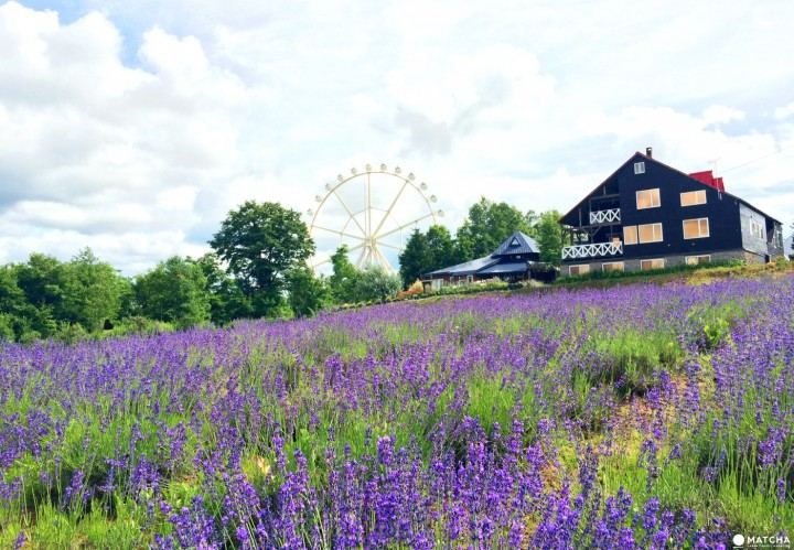 回避型依恋人格怎么相处：3个技巧让你不再反复纠结