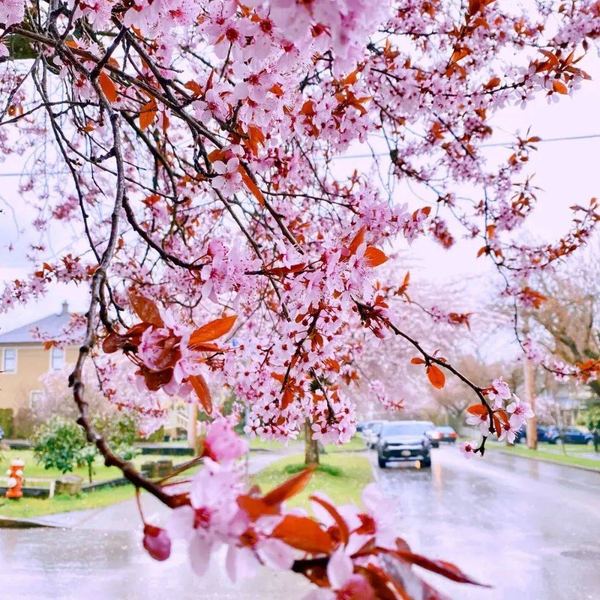 恋爱中没有安全感怎么办？心理学家推荐的4步自救指南