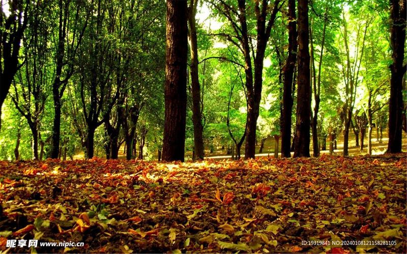 一位选择困难症怎么办的读者来信，看哭了无数人