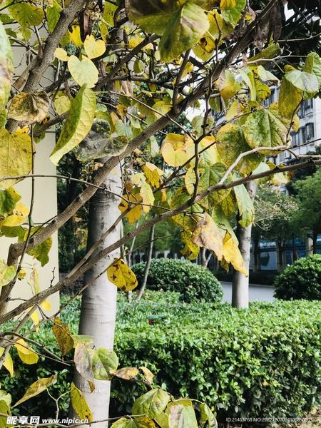 怎么培养孩子自信心背后的心理学原理，看完就明白了